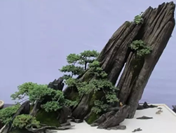 �辰ģ����Ȼ�����νԱ�