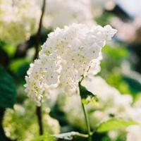 ��ͳ�Ļ�֮��ʮ�Ľ���