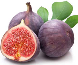 ��Щ��ʳ�����������Ŷ����Ͻ��ղ�������