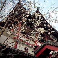 �����ϵ�����֪ʶ���˽���