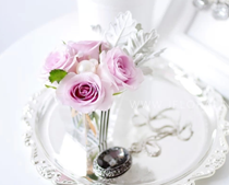 ������Сѧ�á���ճ���