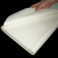 ���������ԡ� ����ѧ��