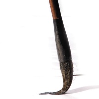 д�鷨����õ�����