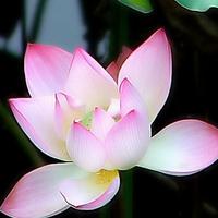 �Ӵ���ʯ�߿�������֣��£�