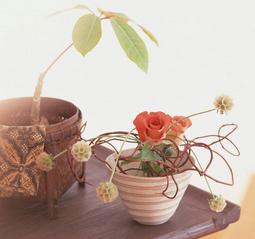 �й��廨��������Դ����չ