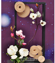 �����廨��ʷ