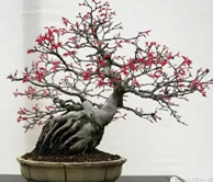 �辰�޼��п���