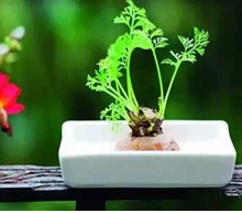 �������ǡ������񡱣���ʣ�������ԣ���̫��Ŷ��