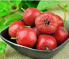 ��ɫ���ã���Ƣ�飡�ǵ��ٳ���8��ʳ������6�ֱ�����