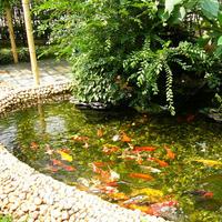 ͥԺ��ˮ��β��ã�����Щ���ɣ�