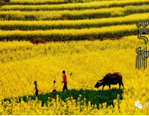 ��ѧ֮ʱ�꼰â�֣���Ұ�Բ�����