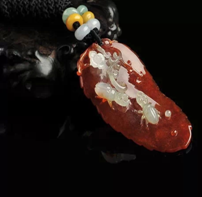 ���ܲ�����������֪ʶ����������