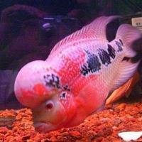 ��ˮ����֮�����޺���