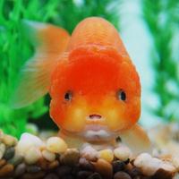 ��ˮ����֮��������ļҾӷ�ˮӦ��