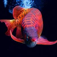 �����ˮ֮����ķ�ˮӦ�ü�����