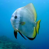 ��ˮ����֮����������