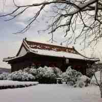 ��ͳ��ѧ֮�����Ŷ�--�Ͼ�