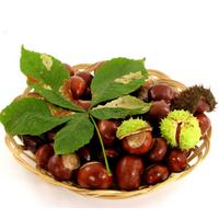 ��ǧ��֮����ë����