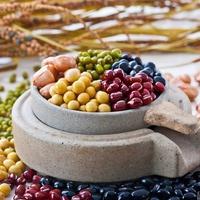 �������������֪��������������