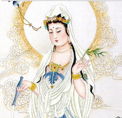 ��ʮ�������������Ԣ��  ��