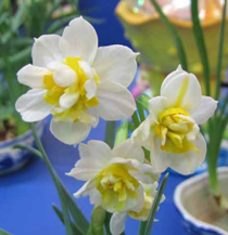 ˮ�ɻ���Ҿӷ��Ĵ���