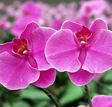 ����������������