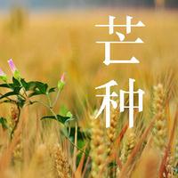 ��ʮ�Ľ���֮����â��