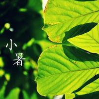 ��ʮ�Ľ���֮����С��