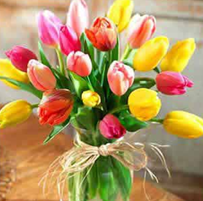 ��������Ҿӷ��Ĵ���