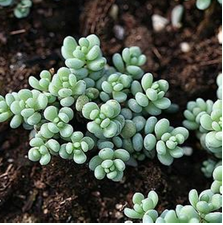 ����������Ҿӷ��Ĵ���