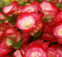 �ļ�������Ҿӷ��Ĵ���