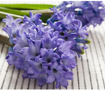 �����ӶԼҾӻ�����Ӱ��