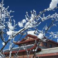 �л���ͳ֮��ü�����צ��