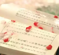 �й��ž䣬���������ԣ�