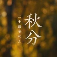 ��ʮ�Ľ���֮�������