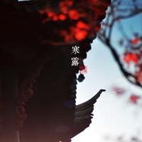 ��ʮ�Ľ���֮������¶