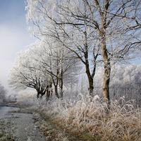 ��ʮ�Ľ���֮����˪��