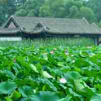 ��ͳ��ѧ֮��ʫ�������