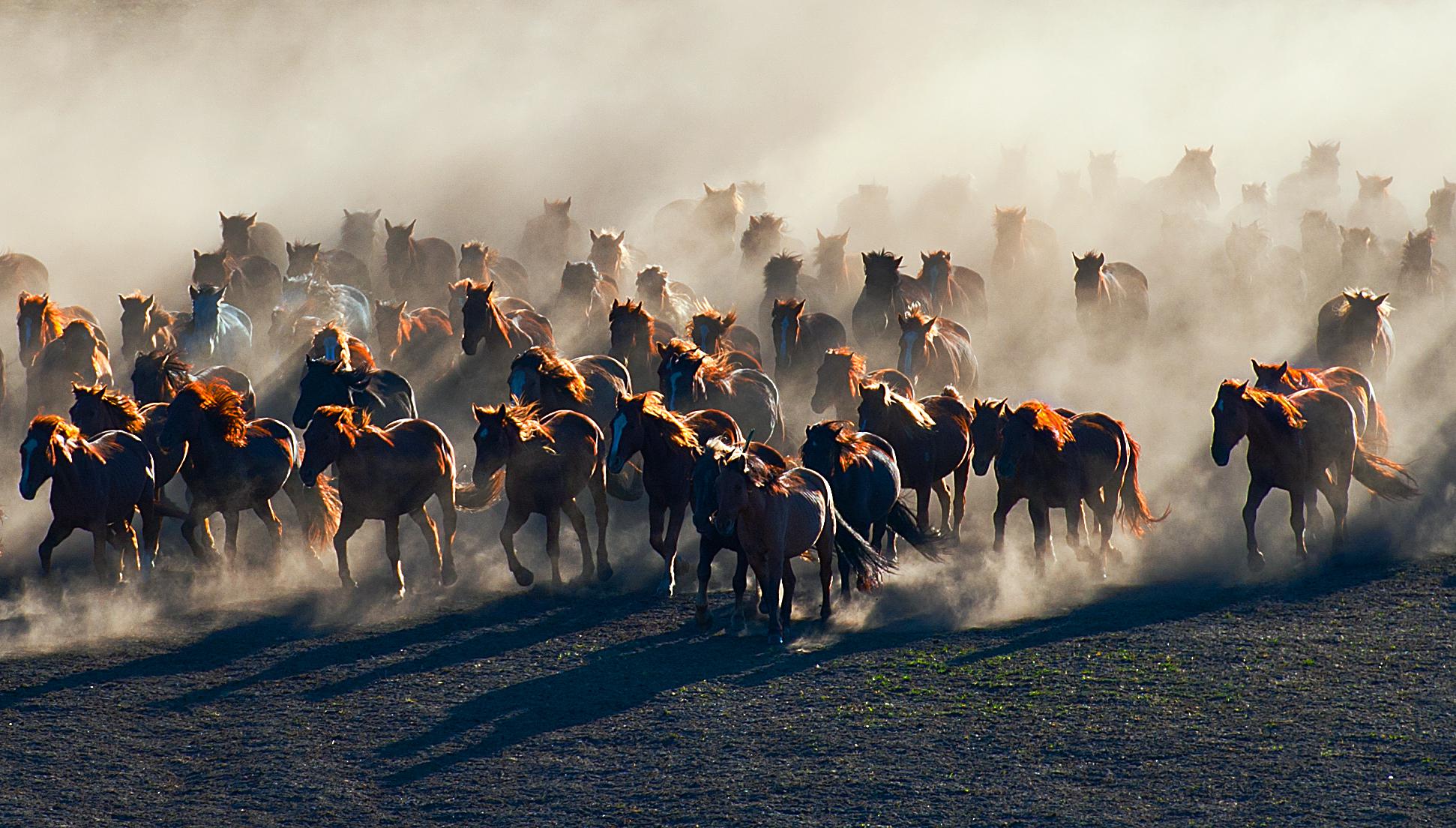 ��ͳ��ѧ֮���ư���ʫ�ʸ踳