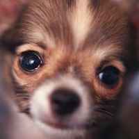 ��ˮ����֮�����ߴ󹦵�