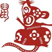 ����Ļ���������