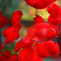 ��ˮ֮����������������