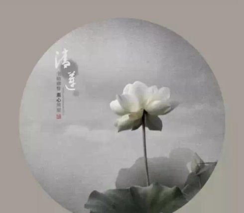 ��ͳ��ѧ֮�ľ����� ��������