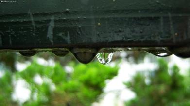 ��ͳ��ѧ֮�����ˣ��Ŵ�ʫ���Ƕ��ڳ�ɶ����