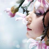 ������׼�־���ʤ��