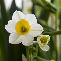 �������ں��������ٽ����� 