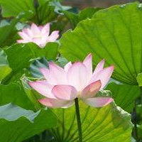 ��д����Ĺ�ʫ�����䣨�ϣ�