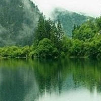 ��д����Ĺ�ʫ�����䣨�£�