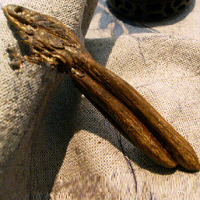 �������ֳ���������ζ����ã� 