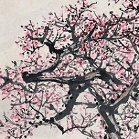 ��ѧ����֮����